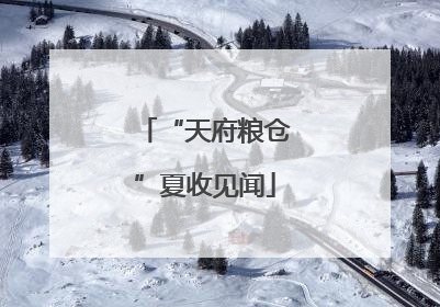 “天府粮仓”夏收见闻